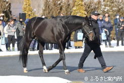 3年連続での総合リーディングサイアーを狙うキズナ