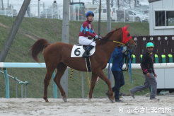 初騎乗で本馬場に向かう小川悠汰騎手