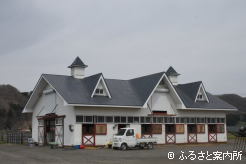 ヒカル牧場の厩舎