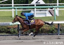 台付価格が最高と発表されたワールドイズマイン2024