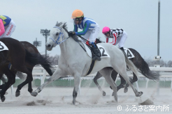 期間限定騎乗の初戦は6着だった