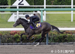 新種牡馬産駒で最速を記録したのはジャンダルム産駒のマンテラライ2024