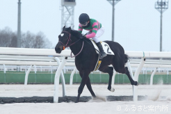 この日の一番時計はスハッチェ