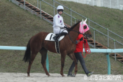 ホッカイドウ競馬で期間限定騎乗を開始した井上瑛太騎手