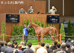 トップギャル2024落札シーン