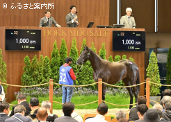 ペプチドサクラ2024落札シーン