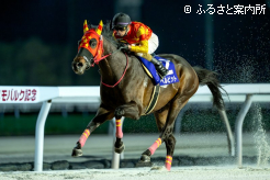 昨年の旭岳賞に続く大差勝ち