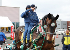 ばん馬の上から敬礼!