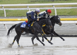 「ラヴドワンズの24」の公開調教