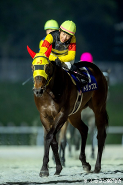 圧倒的人気に応えた愛馬を労う小野楓馬騎手