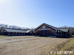 今年の桜花賞(G1)出走馬3頭が送り出された厩舎