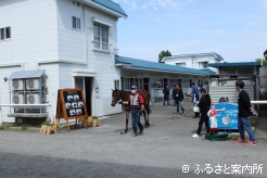 上場馬を厳しい目でチェックする購買関係者