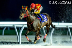 コスモバルク記念に続いて同一重賞3連覇を達成