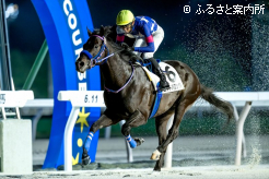 2着馬に2馬身の差をつけて悠々とゴールイン