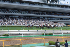 2026年の開幕を迎えた函館競馬場