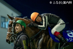 愛馬を労う岩橋勇二騎手