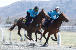 JRA育成馬展示会ではダイナミックな走りを披露した(写真外)