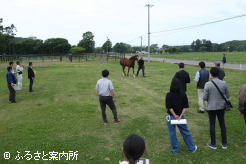 10頭が出陳された第53回1歳馬品評会