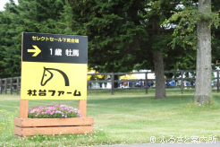 6か所で90頭以上を見て回った