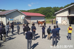 14頭を審査した第68回三石軽種馬1歳馬育成管理品評会