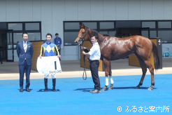 北の一番星に輝いたダイメイビッグボス