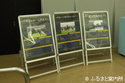 函館2歳S(G3)(旧函館3歳S(G3))を制覇したホッカイドウ競馬所属馬の3頭