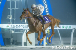 圧倒的な強さでゴールを駆け抜けたダブルゲーム