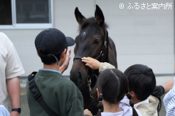 当歳馬とのふれあいを楽しんだ