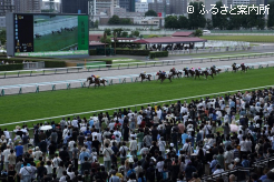 今年も｢祭り｣が始まった札幌競馬場