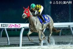 後続に5馬身差を付け悠々とゴールへと帯び込んだ