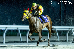 降りしきる雨の中、ゴールを目指すトリップス