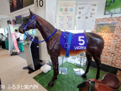 制作された馬具を見に付けた、実物大の馬の模型