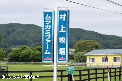 ムラカミファームの看板