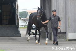 元気な姿で社台スタリオンステーションに到着した