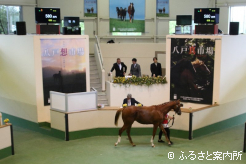 八戸市場では牡1頭、牝1頭の2頭を購買した