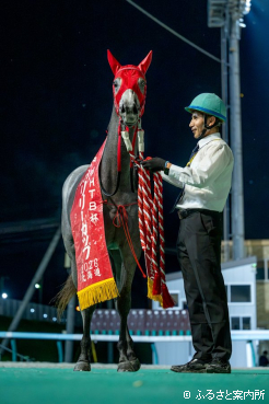 キャリア1戦での重賞勝利を成し遂げたセルアウトクラウド