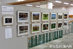 浦河町立図書館で始まった内藤律子写真展