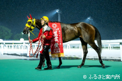 フロイラインスプリントに続いて重賞2連勝
