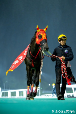 18枚目の優勝レイ。自身の持つホッカイドウ競馬の記録をまた塗り替えた