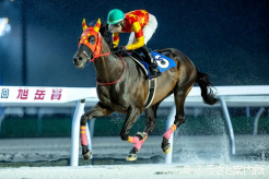 旭岳賞3連覇の偉業を達成したベルピット