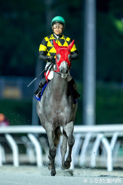 ホッカイドウ競馬から、また新しいスター候補が誕生した