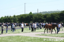 購買登録者数は1,000人を超えた