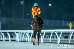 岩手からの刺客を返り討ち。堂々と引き上げたきた