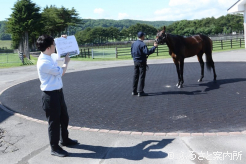 アロースタッドではパンサラッサと対面