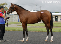 牝馬最高価格スウィーテストエンジェル2025