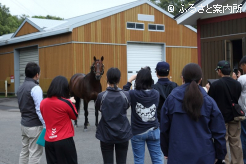一流種牡馬が放つオーラに圧倒された