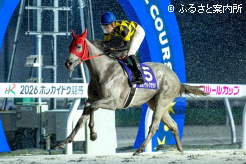 降りしきる雨の中、悠々とゴールするセルアウトクラウド