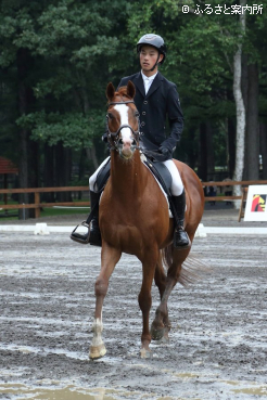 馬場馬術に出場したシュヴァルグラン