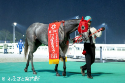 前走のリリーカップに続く重賞2連勝で、JRA勢の挑戦を受けて立つ形になった