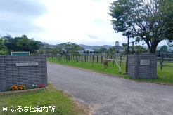 一般見学がはじまったイーストスタッド